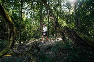 BIB: 
                            <button type="button" onclick="openModal(28057250)" class="btn btn-primary btn-sm float-right btn-popup" data-toggle="modal" data-target=".modal-high-quality">
                        <i class="fas fa-shopping-cart"></i> Add to Cart
                    </button>
                                            <button type="button" onclick="isThisMe(28057250, true)" class="btn btn-success btn-sm float-right btn-popup btn-isme hidden" data-toggle="tooltip" data-placement="bottom" title="นี่คือรูปของคุณใช่ไหม คลิกที่นี่เพื่อเอาเข้าอัลบั้ม">
                        <i class="fas fa-plus"></i> Add to album
                    </button>
                    <button type="button" onclick="isThisMe(28057250, false)" class="btn btn-warning btn-sm float-right btn-popup btn-isnotme hidden">
                        <i class="fas fa-ban"></i> Remove from album
                    </button>