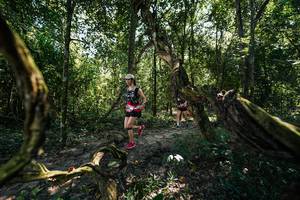 BIB: 
                            <button type="button" onclick="openModal(28058690)" class="btn btn-primary btn-sm float-right btn-popup" data-toggle="modal" data-target=".modal-high-quality">
                        <i class="fas fa-shopping-cart"></i> Add to Cart
                    </button>
                                            <button type="button" onclick="isThisMe(28058690, true)" class="btn btn-success btn-sm float-right btn-popup btn-isme hidden" data-toggle="tooltip" data-placement="bottom" title="นี่คือรูปของคุณใช่ไหม คลิกที่นี่เพื่อเอาเข้าอัลบั้ม">
                        <i class="fas fa-plus"></i> Add to album
                    </button>
                    <button type="button" onclick="isThisMe(28058690, false)" class="btn btn-warning btn-sm float-right btn-popup btn-isnotme hidden">
                        <i class="fas fa-ban"></i> Remove from album
                    </button>