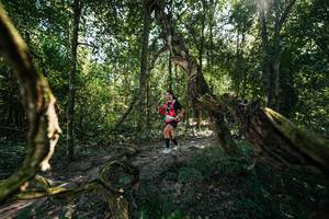 BIB: 
                            <button type="button" onclick="openModal(28057911)" class="btn btn-primary btn-sm float-right btn-popup" data-toggle="modal" data-target=".modal-high-quality">
                        <i class="fas fa-shopping-cart"></i> Add to Cart
                    </button>
                                            <button type="button" onclick="isThisMe(28057911, true)" class="btn btn-success btn-sm float-right btn-popup btn-isme hidden" data-toggle="tooltip" data-placement="bottom" title="นี่คือรูปของคุณใช่ไหม คลิกที่นี่เพื่อเอาเข้าอัลบั้ม">
                        <i class="fas fa-plus"></i> Add to album
                    </button>
                    <button type="button" onclick="isThisMe(28057911, false)" class="btn btn-warning btn-sm float-right btn-popup btn-isnotme hidden">
                        <i class="fas fa-ban"></i> Remove from album
                    </button>