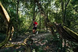 BIB: 
                            <button type="button" onclick="openModal(28066727)" class="btn btn-primary btn-sm float-right btn-popup" data-toggle="modal" data-target=".modal-high-quality">
                        <i class="fas fa-shopping-cart"></i> Add to Cart
                    </button>
                                            <button type="button" onclick="isThisMe(28066727, true)" class="btn btn-success btn-sm float-right btn-popup btn-isme hidden" data-toggle="tooltip" data-placement="bottom" title="นี่คือรูปของคุณใช่ไหม คลิกที่นี่เพื่อเอาเข้าอัลบั้ม">
                        <i class="fas fa-plus"></i> Add to album
                    </button>
                    <button type="button" onclick="isThisMe(28066727, false)" class="btn btn-warning btn-sm float-right btn-popup btn-isnotme hidden">
                        <i class="fas fa-ban"></i> Remove from album
                    </button>