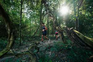 BIB: 
                            <button type="button" onclick="openModal(27953866)" class="btn btn-primary btn-sm float-right btn-popup" data-toggle="modal" data-target=".modal-high-quality">
                        <i class="fas fa-shopping-cart"></i> Add to Cart
                    </button>
                                            <button type="button" onclick="isThisMe(27953866, true)" class="btn btn-success btn-sm float-right btn-popup btn-isme hidden" data-toggle="tooltip" data-placement="bottom" title="นี่คือรูปของคุณใช่ไหม คลิกที่นี่เพื่อเอาเข้าอัลบั้ม">
                        <i class="fas fa-plus"></i> Add to album
                    </button>
                    <button type="button" onclick="isThisMe(27953866, false)" class="btn btn-warning btn-sm float-right btn-popup btn-isnotme hidden">
                        <i class="fas fa-ban"></i> Remove from album
                    </button>