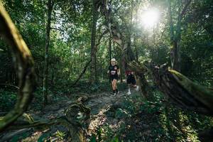 BIB: 
                            <button type="button" onclick="openModal(27954802)" class="btn btn-primary btn-sm float-right btn-popup" data-toggle="modal" data-target=".modal-high-quality">
                        <i class="fas fa-shopping-cart"></i> Add to Cart
                    </button>
                                            <button type="button" onclick="isThisMe(27954802, true)" class="btn btn-success btn-sm float-right btn-popup btn-isme hidden" data-toggle="tooltip" data-placement="bottom" title="นี่คือรูปของคุณใช่ไหม คลิกที่นี่เพื่อเอาเข้าอัลบั้ม">
                        <i class="fas fa-plus"></i> Add to album
                    </button>
                    <button type="button" onclick="isThisMe(27954802, false)" class="btn btn-warning btn-sm float-right btn-popup btn-isnotme hidden">
                        <i class="fas fa-ban"></i> Remove from album
                    </button>