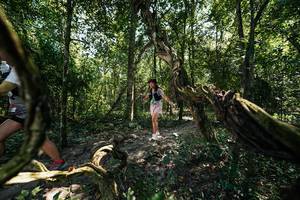 BIB: 
                            <button type="button" onclick="openModal(28068108)" class="btn btn-primary btn-sm float-right btn-popup" data-toggle="modal" data-target=".modal-high-quality">
                        <i class="fas fa-shopping-cart"></i> Add to Cart
                    </button>
                                            <button type="button" onclick="isThisMe(28068108, true)" class="btn btn-success btn-sm float-right btn-popup btn-isme hidden" data-toggle="tooltip" data-placement="bottom" title="นี่คือรูปของคุณใช่ไหม คลิกที่นี่เพื่อเอาเข้าอัลบั้ม">
                        <i class="fas fa-plus"></i> Add to album
                    </button>
                    <button type="button" onclick="isThisMe(28068108, false)" class="btn btn-warning btn-sm float-right btn-popup btn-isnotme hidden">
                        <i class="fas fa-ban"></i> Remove from album
                    </button>