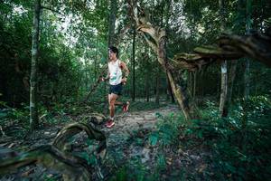 BIB: 
                            <button type="button" onclick="openModal(27952955)" class="btn btn-primary btn-sm float-right btn-popup" data-toggle="modal" data-target=".modal-high-quality">
                        <i class="fas fa-shopping-cart"></i> Add to Cart
                    </button>
                                            <button type="button" onclick="isThisMe(27952955, true)" class="btn btn-success btn-sm float-right btn-popup btn-isme hidden" data-toggle="tooltip" data-placement="bottom" title="นี่คือรูปของคุณใช่ไหม คลิกที่นี่เพื่อเอาเข้าอัลบั้ม">
                        <i class="fas fa-plus"></i> Add to album
                    </button>
                    <button type="button" onclick="isThisMe(27952955, false)" class="btn btn-warning btn-sm float-right btn-popup btn-isnotme hidden">
                        <i class="fas fa-ban"></i> Remove from album
                    </button>