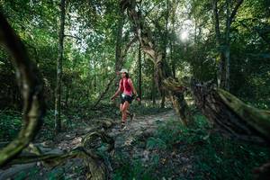 BIB: 
                            <button type="button" onclick="openModal(27953575)" class="btn btn-primary btn-sm float-right btn-popup" data-toggle="modal" data-target=".modal-high-quality">
                        <i class="fas fa-shopping-cart"></i> Add to Cart
                    </button>
                                            <button type="button" onclick="isThisMe(27953575, true)" class="btn btn-success btn-sm float-right btn-popup btn-isme hidden" data-toggle="tooltip" data-placement="bottom" title="นี่คือรูปของคุณใช่ไหม คลิกที่นี่เพื่อเอาเข้าอัลบั้ม">
                        <i class="fas fa-plus"></i> Add to album
                    </button>
                    <button type="button" onclick="isThisMe(27953575, false)" class="btn btn-warning btn-sm float-right btn-popup btn-isnotme hidden">
                        <i class="fas fa-ban"></i> Remove from album
                    </button>