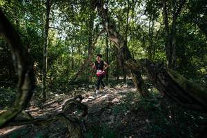 BIB: 
                            <button type="button" onclick="openModal(27957360)" class="btn btn-primary btn-sm float-right btn-popup" data-toggle="modal" data-target=".modal-high-quality">
                        <i class="fas fa-shopping-cart"></i> Add to Cart
                    </button>
                                            <button type="button" onclick="isThisMe(27957360, true)" class="btn btn-success btn-sm float-right btn-popup btn-isme hidden" data-toggle="tooltip" data-placement="bottom" title="นี่คือรูปของคุณใช่ไหม คลิกที่นี่เพื่อเอาเข้าอัลบั้ม">
                        <i class="fas fa-plus"></i> Add to album
                    </button>
                    <button type="button" onclick="isThisMe(27957360, false)" class="btn btn-warning btn-sm float-right btn-popup btn-isnotme hidden">
                        <i class="fas fa-ban"></i> Remove from album
                    </button>