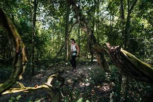 BIB: 
                            <button type="button" onclick="openModal(28067591)" class="btn btn-primary btn-sm float-right btn-popup" data-toggle="modal" data-target=".modal-high-quality">
                        <i class="fas fa-shopping-cart"></i> Add to Cart
                    </button>
                                            <button type="button" onclick="isThisMe(28067591, true)" class="btn btn-success btn-sm float-right btn-popup btn-isme hidden" data-toggle="tooltip" data-placement="bottom" title="นี่คือรูปของคุณใช่ไหม คลิกที่นี่เพื่อเอาเข้าอัลบั้ม">
                        <i class="fas fa-plus"></i> Add to album
                    </button>
                    <button type="button" onclick="isThisMe(28067591, false)" class="btn btn-warning btn-sm float-right btn-popup btn-isnotme hidden">
                        <i class="fas fa-ban"></i> Remove from album
                    </button>