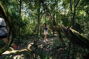 BIB: 
                            <button type="button" onclick="openModal(28068146)" class="btn btn-primary btn-sm float-right btn-popup" data-toggle="modal" data-target=".modal-high-quality">
                        <i class="fas fa-shopping-cart"></i> Add to Cart
                    </button>
                                            <button type="button" onclick="isThisMe(28068146, true)" class="btn btn-success btn-sm float-right btn-popup btn-isme hidden" data-toggle="tooltip" data-placement="bottom" title="นี่คือรูปของคุณใช่ไหม คลิกที่นี่เพื่อเอาเข้าอัลบั้ม">
                        <i class="fas fa-plus"></i> Add to album
                    </button>
                    <button type="button" onclick="isThisMe(28068146, false)" class="btn btn-warning btn-sm float-right btn-popup btn-isnotme hidden">
                        <i class="fas fa-ban"></i> Remove from album
                    </button>