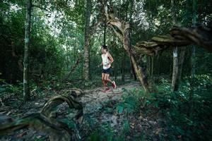 BIB: 
                            <button type="button" onclick="openModal(27952950)" class="btn btn-primary btn-sm float-right btn-popup" data-toggle="modal" data-target=".modal-high-quality">
                        <i class="fas fa-shopping-cart"></i> Add to Cart
                    </button>
                                            <button type="button" onclick="isThisMe(27952950, true)" class="btn btn-success btn-sm float-right btn-popup btn-isme hidden" data-toggle="tooltip" data-placement="bottom" title="นี่คือรูปของคุณใช่ไหม คลิกที่นี่เพื่อเอาเข้าอัลบั้ม">
                        <i class="fas fa-plus"></i> Add to album
                    </button>
                    <button type="button" onclick="isThisMe(27952950, false)" class="btn btn-warning btn-sm float-right btn-popup btn-isnotme hidden">
                        <i class="fas fa-ban"></i> Remove from album
                    </button>