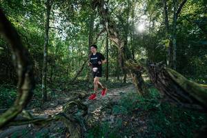 BIB: 
                            <button type="button" onclick="openModal(27953515)" class="btn btn-primary btn-sm float-right btn-popup" data-toggle="modal" data-target=".modal-high-quality">
                        <i class="fas fa-shopping-cart"></i> Add to Cart
                    </button>
                                            <button type="button" onclick="isThisMe(27953515, true)" class="btn btn-success btn-sm float-right btn-popup btn-isme hidden" data-toggle="tooltip" data-placement="bottom" title="นี่คือรูปของคุณใช่ไหม คลิกที่นี่เพื่อเอาเข้าอัลบั้ม">
                        <i class="fas fa-plus"></i> Add to album
                    </button>
                    <button type="button" onclick="isThisMe(27953515, false)" class="btn btn-warning btn-sm float-right btn-popup btn-isnotme hidden">
                        <i class="fas fa-ban"></i> Remove from album
                    </button>