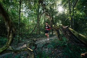 BIB: 
                            <button type="button" onclick="openModal(27953987)" class="btn btn-primary btn-sm float-right btn-popup" data-toggle="modal" data-target=".modal-high-quality">
                        <i class="fas fa-shopping-cart"></i> Add to Cart
                    </button>
                                            <button type="button" onclick="isThisMe(27953987, true)" class="btn btn-success btn-sm float-right btn-popup btn-isme hidden" data-toggle="tooltip" data-placement="bottom" title="นี่คือรูปของคุณใช่ไหม คลิกที่นี่เพื่อเอาเข้าอัลบั้ม">
                        <i class="fas fa-plus"></i> Add to album
                    </button>
                    <button type="button" onclick="isThisMe(27953987, false)" class="btn btn-warning btn-sm float-right btn-popup btn-isnotme hidden">
                        <i class="fas fa-ban"></i> Remove from album
                    </button>