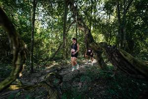 BIB: 
                            <button type="button" onclick="openModal(28057597)" class="btn btn-primary btn-sm float-right btn-popup" data-toggle="modal" data-target=".modal-high-quality">
                        <i class="fas fa-shopping-cart"></i> Add to Cart
                    </button>
                                            <button type="button" onclick="isThisMe(28057597, true)" class="btn btn-success btn-sm float-right btn-popup btn-isme hidden" data-toggle="tooltip" data-placement="bottom" title="นี่คือรูปของคุณใช่ไหม คลิกที่นี่เพื่อเอาเข้าอัลบั้ม">
                        <i class="fas fa-plus"></i> Add to album
                    </button>
                    <button type="button" onclick="isThisMe(28057597, false)" class="btn btn-warning btn-sm float-right btn-popup btn-isnotme hidden">
                        <i class="fas fa-ban"></i> Remove from album
                    </button>