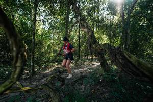 BIB: 
                            <button type="button" onclick="openModal(28057486)" class="btn btn-primary btn-sm float-right btn-popup" data-toggle="modal" data-target=".modal-high-quality">
                        <i class="fas fa-shopping-cart"></i> Add to Cart
                    </button>
                                            <button type="button" onclick="isThisMe(28057486, true)" class="btn btn-success btn-sm float-right btn-popup btn-isme hidden" data-toggle="tooltip" data-placement="bottom" title="นี่คือรูปของคุณใช่ไหม คลิกที่นี่เพื่อเอาเข้าอัลบั้ม">
                        <i class="fas fa-plus"></i> Add to album
                    </button>
                    <button type="button" onclick="isThisMe(28057486, false)" class="btn btn-warning btn-sm float-right btn-popup btn-isnotme hidden">
                        <i class="fas fa-ban"></i> Remove from album
                    </button>