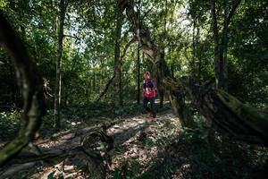 BIB: 
                            <button type="button" onclick="openModal(27955317)" class="btn btn-primary btn-sm float-right btn-popup" data-toggle="modal" data-target=".modal-high-quality">
                        <i class="fas fa-shopping-cart"></i> Add to Cart
                    </button>
                                            <button type="button" onclick="isThisMe(27955317, true)" class="btn btn-success btn-sm float-right btn-popup btn-isme hidden" data-toggle="tooltip" data-placement="bottom" title="นี่คือรูปของคุณใช่ไหม คลิกที่นี่เพื่อเอาเข้าอัลบั้ม">
                        <i class="fas fa-plus"></i> Add to album
                    </button>
                    <button type="button" onclick="isThisMe(27955317, false)" class="btn btn-warning btn-sm float-right btn-popup btn-isnotme hidden">
                        <i class="fas fa-ban"></i> Remove from album
                    </button>