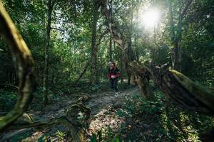 BIB: 
                            <button type="button" onclick="openModal(27954792)" class="btn btn-primary btn-sm float-right btn-popup" data-toggle="modal" data-target=".modal-high-quality">
                        <i class="fas fa-shopping-cart"></i> Add to Cart
                    </button>
                                            <button type="button" onclick="isThisMe(27954792, true)" class="btn btn-success btn-sm float-right btn-popup btn-isme hidden" data-toggle="tooltip" data-placement="bottom" title="นี่คือรูปของคุณใช่ไหม คลิกที่นี่เพื่อเอาเข้าอัลบั้ม">
                        <i class="fas fa-plus"></i> Add to album
                    </button>
                    <button type="button" onclick="isThisMe(27954792, false)" class="btn btn-warning btn-sm float-right btn-popup btn-isnotme hidden">
                        <i class="fas fa-ban"></i> Remove from album
                    </button>