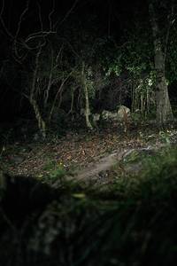 BIB: 
                            <button type="button" onclick="openModal(27937732)" class="btn btn-primary btn-sm float-right btn-popup" data-toggle="modal" data-target=".modal-high-quality">
                        <i class="fas fa-shopping-cart"></i> Add to Cart
                    </button>
                                            <button type="button" onclick="isThisMe(27937732, true)" class="btn btn-success btn-sm float-right btn-popup btn-isme hidden" data-toggle="tooltip" data-placement="bottom" title="นี่คือรูปของคุณใช่ไหม คลิกที่นี่เพื่อเอาเข้าอัลบั้ม">
                        <i class="fas fa-plus"></i> Add to album
                    </button>
                    <button type="button" onclick="isThisMe(27937732, false)" class="btn btn-warning btn-sm float-right btn-popup btn-isnotme hidden">
                        <i class="fas fa-ban"></i> Remove from album
                    </button>