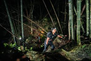 BIB: 
                            <button type="button" onclick="openModal(27959823)" class="btn btn-primary btn-sm float-right btn-popup" data-toggle="modal" data-target=".modal-high-quality">
                        <i class="fas fa-shopping-cart"></i> Add to Cart
                    </button>
                                            <button type="button" onclick="isThisMe(27959823, true)" class="btn btn-success btn-sm float-right btn-popup btn-isme hidden" data-toggle="tooltip" data-placement="bottom" title="นี่คือรูปของคุณใช่ไหม คลิกที่นี่เพื่อเอาเข้าอัลบั้ม">
                        <i class="fas fa-plus"></i> Add to album
                    </button>
                    <button type="button" onclick="isThisMe(27959823, false)" class="btn btn-warning btn-sm float-right btn-popup btn-isnotme hidden">
                        <i class="fas fa-ban"></i> Remove from album
                    </button>