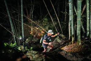 BIB: 
                            <button type="button" onclick="openModal(27957917)" class="btn btn-primary btn-sm float-right btn-popup" data-toggle="modal" data-target=".modal-high-quality">
                        <i class="fas fa-shopping-cart"></i> Add to Cart
                    </button>
                                            <button type="button" onclick="isThisMe(27957917, true)" class="btn btn-success btn-sm float-right btn-popup btn-isme hidden" data-toggle="tooltip" data-placement="bottom" title="นี่คือรูปของคุณใช่ไหม คลิกที่นี่เพื่อเอาเข้าอัลบั้ม">
                        <i class="fas fa-plus"></i> Add to album
                    </button>
                    <button type="button" onclick="isThisMe(27957917, false)" class="btn btn-warning btn-sm float-right btn-popup btn-isnotme hidden">
                        <i class="fas fa-ban"></i> Remove from album
                    </button>