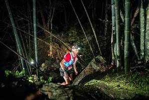 BIB: 
                            <button type="button" onclick="openModal(27958876)" class="btn btn-primary btn-sm float-right btn-popup" data-toggle="modal" data-target=".modal-high-quality">
                        <i class="fas fa-shopping-cart"></i> Add to Cart
                    </button>
                                            <button type="button" onclick="isThisMe(27958876, true)" class="btn btn-success btn-sm float-right btn-popup btn-isme hidden" data-toggle="tooltip" data-placement="bottom" title="นี่คือรูปของคุณใช่ไหม คลิกที่นี่เพื่อเอาเข้าอัลบั้ม">
                        <i class="fas fa-plus"></i> Add to album
                    </button>
                    <button type="button" onclick="isThisMe(27958876, false)" class="btn btn-warning btn-sm float-right btn-popup btn-isnotme hidden">
                        <i class="fas fa-ban"></i> Remove from album
                    </button>