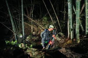 BIB: 
                            <button type="button" onclick="openModal(27963993)" class="btn btn-primary btn-sm float-right btn-popup" data-toggle="modal" data-target=".modal-high-quality">
                        <i class="fas fa-shopping-cart"></i> Add to Cart
                    </button>
                                            <button type="button" onclick="isThisMe(27963993, true)" class="btn btn-success btn-sm float-right btn-popup btn-isme hidden" data-toggle="tooltip" data-placement="bottom" title="นี่คือรูปของคุณใช่ไหม คลิกที่นี่เพื่อเอาเข้าอัลบั้ม">
                        <i class="fas fa-plus"></i> Add to album
                    </button>
                    <button type="button" onclick="isThisMe(27963993, false)" class="btn btn-warning btn-sm float-right btn-popup btn-isnotme hidden">
                        <i class="fas fa-ban"></i> Remove from album
                    </button>