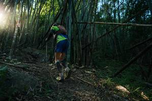 BIB: 
                            <button type="button" onclick="openModal(27956843)" class="btn btn-primary btn-sm float-right btn-popup" data-toggle="modal" data-target=".modal-high-quality">
                        <i class="fas fa-shopping-cart"></i> Add to Cart
                    </button>
                                            <button type="button" onclick="isThisMe(27956843, true)" class="btn btn-success btn-sm float-right btn-popup btn-isme hidden" data-toggle="tooltip" data-placement="bottom" title="นี่คือรูปของคุณใช่ไหม คลิกที่นี่เพื่อเอาเข้าอัลบั้ม">
                        <i class="fas fa-plus"></i> Add to album
                    </button>
                    <button type="button" onclick="isThisMe(27956843, false)" class="btn btn-warning btn-sm float-right btn-popup btn-isnotme hidden">
                        <i class="fas fa-ban"></i> Remove from album
                    </button>