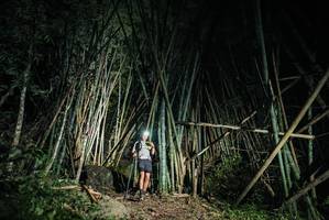 BIB: 
                            <button type="button" onclick="openModal(27964877)" class="btn btn-primary btn-sm float-right btn-popup" data-toggle="modal" data-target=".modal-high-quality">
                        <i class="fas fa-shopping-cart"></i> Add to Cart
                    </button>
                                            <button type="button" onclick="isThisMe(27964877, true)" class="btn btn-success btn-sm float-right btn-popup btn-isme hidden" data-toggle="tooltip" data-placement="bottom" title="นี่คือรูปของคุณใช่ไหม คลิกที่นี่เพื่อเอาเข้าอัลบั้ม">
                        <i class="fas fa-plus"></i> Add to album
                    </button>
                    <button type="button" onclick="isThisMe(27964877, false)" class="btn btn-warning btn-sm float-right btn-popup btn-isnotme hidden">
                        <i class="fas fa-ban"></i> Remove from album
                    </button>