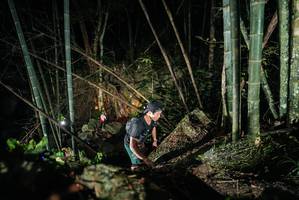 BIB: 
                            <button type="button" onclick="openModal(27957647)" class="btn btn-primary btn-sm float-right btn-popup" data-toggle="modal" data-target=".modal-high-quality">
                        <i class="fas fa-shopping-cart"></i> Add to Cart
                    </button>
                                            <button type="button" onclick="isThisMe(27957647, true)" class="btn btn-success btn-sm float-right btn-popup btn-isme hidden" data-toggle="tooltip" data-placement="bottom" title="นี่คือรูปของคุณใช่ไหม คลิกที่นี่เพื่อเอาเข้าอัลบั้ม">
                        <i class="fas fa-plus"></i> Add to album
                    </button>
                    <button type="button" onclick="isThisMe(27957647, false)" class="btn btn-warning btn-sm float-right btn-popup btn-isnotme hidden">
                        <i class="fas fa-ban"></i> Remove from album
                    </button>