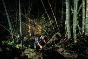 BIB: 
                            <button type="button" onclick="openModal(27957641)" class="btn btn-primary btn-sm float-right btn-popup" data-toggle="modal" data-target=".modal-high-quality">
                        <i class="fas fa-shopping-cart"></i> Add to Cart
                    </button>
                                            <button type="button" onclick="isThisMe(27957641, true)" class="btn btn-success btn-sm float-right btn-popup btn-isme hidden" data-toggle="tooltip" data-placement="bottom" title="นี่คือรูปของคุณใช่ไหม คลิกที่นี่เพื่อเอาเข้าอัลบั้ม">
                        <i class="fas fa-plus"></i> Add to album
                    </button>
                    <button type="button" onclick="isThisMe(27957641, false)" class="btn btn-warning btn-sm float-right btn-popup btn-isnotme hidden">
                        <i class="fas fa-ban"></i> Remove from album
                    </button>