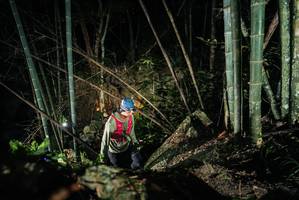 BIB: 
                            <button type="button" onclick="openModal(27957690)" class="btn btn-primary btn-sm float-right btn-popup" data-toggle="modal" data-target=".modal-high-quality">
                        <i class="fas fa-shopping-cart"></i> Add to Cart
                    </button>
                                            <button type="button" onclick="isThisMe(27957690, true)" class="btn btn-success btn-sm float-right btn-popup btn-isme hidden" data-toggle="tooltip" data-placement="bottom" title="นี่คือรูปของคุณใช่ไหม คลิกที่นี่เพื่อเอาเข้าอัลบั้ม">
                        <i class="fas fa-plus"></i> Add to album
                    </button>
                    <button type="button" onclick="isThisMe(27957690, false)" class="btn btn-warning btn-sm float-right btn-popup btn-isnotme hidden">
                        <i class="fas fa-ban"></i> Remove from album
                    </button>