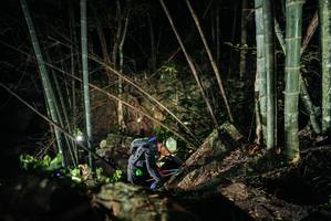 BIB: 
                            <button type="button" onclick="openModal(27963958)" class="btn btn-primary btn-sm float-right btn-popup" data-toggle="modal" data-target=".modal-high-quality">
                        <i class="fas fa-shopping-cart"></i> Add to Cart
                    </button>
                                            <button type="button" onclick="isThisMe(27963958, true)" class="btn btn-success btn-sm float-right btn-popup btn-isme hidden" data-toggle="tooltip" data-placement="bottom" title="นี่คือรูปของคุณใช่ไหม คลิกที่นี่เพื่อเอาเข้าอัลบั้ม">
                        <i class="fas fa-plus"></i> Add to album
                    </button>
                    <button type="button" onclick="isThisMe(27963958, false)" class="btn btn-warning btn-sm float-right btn-popup btn-isnotme hidden">
                        <i class="fas fa-ban"></i> Remove from album
                    </button>