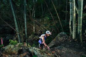 BIB: 
                            <button type="button" onclick="openModal(27956900)" class="btn btn-primary btn-sm float-right btn-popup" data-toggle="modal" data-target=".modal-high-quality">
                        <i class="fas fa-shopping-cart"></i> Add to Cart
                    </button>
                                            <button type="button" onclick="isThisMe(27956900, true)" class="btn btn-success btn-sm float-right btn-popup btn-isme hidden" data-toggle="tooltip" data-placement="bottom" title="นี่คือรูปของคุณใช่ไหม คลิกที่นี่เพื่อเอาเข้าอัลบั้ม">
                        <i class="fas fa-plus"></i> Add to album
                    </button>
                    <button type="button" onclick="isThisMe(27956900, false)" class="btn btn-warning btn-sm float-right btn-popup btn-isnotme hidden">
                        <i class="fas fa-ban"></i> Remove from album
                    </button>