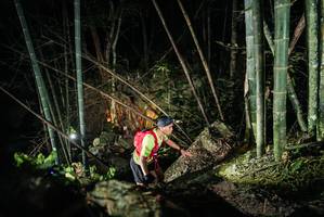 BIB: 
                            <button type="button" onclick="openModal(27958207)" class="btn btn-primary btn-sm float-right btn-popup" data-toggle="modal" data-target=".modal-high-quality">
                        <i class="fas fa-shopping-cart"></i> Add to Cart
                    </button>
                                            <button type="button" onclick="isThisMe(27958207, true)" class="btn btn-success btn-sm float-right btn-popup btn-isme hidden" data-toggle="tooltip" data-placement="bottom" title="นี่คือรูปของคุณใช่ไหม คลิกที่นี่เพื่อเอาเข้าอัลบั้ม">
                        <i class="fas fa-plus"></i> Add to album
                    </button>
                    <button type="button" onclick="isThisMe(27958207, false)" class="btn btn-warning btn-sm float-right btn-popup btn-isnotme hidden">
                        <i class="fas fa-ban"></i> Remove from album
                    </button>