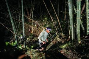 BIB: 
                            <button type="button" onclick="openModal(27957219)" class="btn btn-primary btn-sm float-right btn-popup" data-toggle="modal" data-target=".modal-high-quality">
                        <i class="fas fa-shopping-cart"></i> Add to Cart
                    </button>
                                            <button type="button" onclick="isThisMe(27957219, true)" class="btn btn-success btn-sm float-right btn-popup btn-isme hidden" data-toggle="tooltip" data-placement="bottom" title="นี่คือรูปของคุณใช่ไหม คลิกที่นี่เพื่อเอาเข้าอัลบั้ม">
                        <i class="fas fa-plus"></i> Add to album
                    </button>
                    <button type="button" onclick="isThisMe(27957219, false)" class="btn btn-warning btn-sm float-right btn-popup btn-isnotme hidden">
                        <i class="fas fa-ban"></i> Remove from album
                    </button>