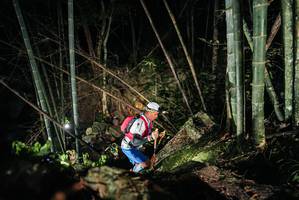 BIB: 
                            <button type="button" onclick="openModal(27962499)" class="btn btn-primary btn-sm float-right btn-popup" data-toggle="modal" data-target=".modal-high-quality">
                        <i class="fas fa-shopping-cart"></i> Add to Cart
                    </button>
                                            <button type="button" onclick="isThisMe(27962499, true)" class="btn btn-success btn-sm float-right btn-popup btn-isme hidden" data-toggle="tooltip" data-placement="bottom" title="นี่คือรูปของคุณใช่ไหม คลิกที่นี่เพื่อเอาเข้าอัลบั้ม">
                        <i class="fas fa-plus"></i> Add to album
                    </button>
                    <button type="button" onclick="isThisMe(27962499, false)" class="btn btn-warning btn-sm float-right btn-popup btn-isnotme hidden">
                        <i class="fas fa-ban"></i> Remove from album
                    </button>