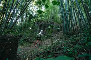 BIB: 
                            <button type="button" onclick="openModal(27956903)" class="btn btn-primary btn-sm float-right btn-popup" data-toggle="modal" data-target=".modal-high-quality">
                        <i class="fas fa-shopping-cart"></i> Add to Cart
                    </button>
                                            <button type="button" onclick="isThisMe(27956903, true)" class="btn btn-success btn-sm float-right btn-popup btn-isme hidden" data-toggle="tooltip" data-placement="bottom" title="นี่คือรูปของคุณใช่ไหม คลิกที่นี่เพื่อเอาเข้าอัลบั้ม">
                        <i class="fas fa-plus"></i> Add to album
                    </button>
                    <button type="button" onclick="isThisMe(27956903, false)" class="btn btn-warning btn-sm float-right btn-popup btn-isnotme hidden">
                        <i class="fas fa-ban"></i> Remove from album
                    </button>