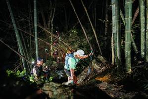 BIB: 
                            <button type="button" onclick="openModal(27960181)" class="btn btn-primary btn-sm float-right btn-popup" data-toggle="modal" data-target=".modal-high-quality">
                        <i class="fas fa-shopping-cart"></i> Add to Cart
                    </button>
                                            <button type="button" onclick="isThisMe(27960181, true)" class="btn btn-success btn-sm float-right btn-popup btn-isme hidden" data-toggle="tooltip" data-placement="bottom" title="นี่คือรูปของคุณใช่ไหม คลิกที่นี่เพื่อเอาเข้าอัลบั้ม">
                        <i class="fas fa-plus"></i> Add to album
                    </button>
                    <button type="button" onclick="isThisMe(27960181, false)" class="btn btn-warning btn-sm float-right btn-popup btn-isnotme hidden">
                        <i class="fas fa-ban"></i> Remove from album
                    </button>