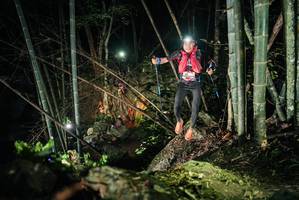 BIB: 
                            <button type="button" onclick="openModal(27958377)" class="btn btn-primary btn-sm float-right btn-popup" data-toggle="modal" data-target=".modal-high-quality">
                        <i class="fas fa-shopping-cart"></i> Add to Cart
                    </button>
                                            <button type="button" onclick="isThisMe(27958377, true)" class="btn btn-success btn-sm float-right btn-popup btn-isme hidden" data-toggle="tooltip" data-placement="bottom" title="นี่คือรูปของคุณใช่ไหม คลิกที่นี่เพื่อเอาเข้าอัลบั้ม">
                        <i class="fas fa-plus"></i> Add to album
                    </button>
                    <button type="button" onclick="isThisMe(27958377, false)" class="btn btn-warning btn-sm float-right btn-popup btn-isnotme hidden">
                        <i class="fas fa-ban"></i> Remove from album
                    </button>