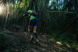 BIB: 
                            <button type="button" onclick="openModal(27956833)" class="btn btn-primary btn-sm float-right btn-popup" data-toggle="modal" data-target=".modal-high-quality">
                        <i class="fas fa-shopping-cart"></i> Add to Cart
                    </button>
                                            <button type="button" onclick="isThisMe(27956833, true)" class="btn btn-success btn-sm float-right btn-popup btn-isme hidden" data-toggle="tooltip" data-placement="bottom" title="นี่คือรูปของคุณใช่ไหม คลิกที่นี่เพื่อเอาเข้าอัลบั้ม">
                        <i class="fas fa-plus"></i> Add to album
                    </button>
                    <button type="button" onclick="isThisMe(27956833, false)" class="btn btn-warning btn-sm float-right btn-popup btn-isnotme hidden">
                        <i class="fas fa-ban"></i> Remove from album
                    </button>