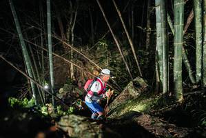 BIB: 
                            <button type="button" onclick="openModal(27962509)" class="btn btn-primary btn-sm float-right btn-popup" data-toggle="modal" data-target=".modal-high-quality">
                        <i class="fas fa-shopping-cart"></i> Add to Cart
                    </button>
                                            <button type="button" onclick="isThisMe(27962509, true)" class="btn btn-success btn-sm float-right btn-popup btn-isme hidden" data-toggle="tooltip" data-placement="bottom" title="นี่คือรูปของคุณใช่ไหม คลิกที่นี่เพื่อเอาเข้าอัลบั้ม">
                        <i class="fas fa-plus"></i> Add to album
                    </button>
                    <button type="button" onclick="isThisMe(27962509, false)" class="btn btn-warning btn-sm float-right btn-popup btn-isnotme hidden">
                        <i class="fas fa-ban"></i> Remove from album
                    </button>