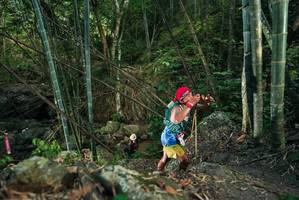 BIB: 
                            <button type="button" onclick="openModal(27956893)" class="btn btn-primary btn-sm float-right btn-popup" data-toggle="modal" data-target=".modal-high-quality">
                        <i class="fas fa-shopping-cart"></i> Add to Cart
                    </button>
                                            <button type="button" onclick="isThisMe(27956893, true)" class="btn btn-success btn-sm float-right btn-popup btn-isme hidden" data-toggle="tooltip" data-placement="bottom" title="นี่คือรูปของคุณใช่ไหม คลิกที่นี่เพื่อเอาเข้าอัลบั้ม">
                        <i class="fas fa-plus"></i> Add to album
                    </button>
                    <button type="button" onclick="isThisMe(27956893, false)" class="btn btn-warning btn-sm float-right btn-popup btn-isnotme hidden">
                        <i class="fas fa-ban"></i> Remove from album
                    </button>