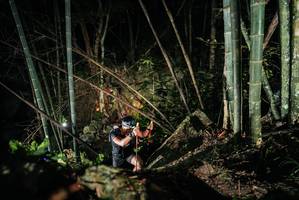 BIB: 
                            <button type="button" onclick="openModal(27957657)" class="btn btn-primary btn-sm float-right btn-popup" data-toggle="modal" data-target=".modal-high-quality">
                        <i class="fas fa-shopping-cart"></i> Add to Cart
                    </button>
                                            <button type="button" onclick="isThisMe(27957657, true)" class="btn btn-success btn-sm float-right btn-popup btn-isme hidden" data-toggle="tooltip" data-placement="bottom" title="นี่คือรูปของคุณใช่ไหม คลิกที่นี่เพื่อเอาเข้าอัลบั้ม">
                        <i class="fas fa-plus"></i> Add to album
                    </button>
                    <button type="button" onclick="isThisMe(27957657, false)" class="btn btn-warning btn-sm float-right btn-popup btn-isnotme hidden">
                        <i class="fas fa-ban"></i> Remove from album
                    </button>