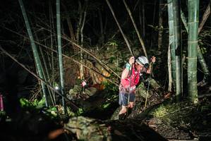 BIB: 
                            <button type="button" onclick="openModal(27957279)" class="btn btn-primary btn-sm float-right btn-popup" data-toggle="modal" data-target=".modal-high-quality">
                        <i class="fas fa-shopping-cart"></i> Add to Cart
                    </button>
                                            <button type="button" onclick="isThisMe(27957279, true)" class="btn btn-success btn-sm float-right btn-popup btn-isme hidden" data-toggle="tooltip" data-placement="bottom" title="นี่คือรูปของคุณใช่ไหม คลิกที่นี่เพื่อเอาเข้าอัลบั้ม">
                        <i class="fas fa-plus"></i> Add to album
                    </button>
                    <button type="button" onclick="isThisMe(27957279, false)" class="btn btn-warning btn-sm float-right btn-popup btn-isnotme hidden">
                        <i class="fas fa-ban"></i> Remove from album
                    </button>