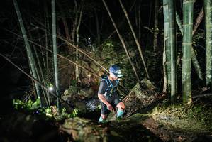 BIB: 
                            <button type="button" onclick="openModal(27963713)" class="btn btn-primary btn-sm float-right btn-popup" data-toggle="modal" data-target=".modal-high-quality">
                        <i class="fas fa-shopping-cart"></i> Add to Cart
                    </button>
                                            <button type="button" onclick="isThisMe(27963713, true)" class="btn btn-success btn-sm float-right btn-popup btn-isme hidden" data-toggle="tooltip" data-placement="bottom" title="นี่คือรูปของคุณใช่ไหม คลิกที่นี่เพื่อเอาเข้าอัลบั้ม">
                        <i class="fas fa-plus"></i> Add to album
                    </button>
                    <button type="button" onclick="isThisMe(27963713, false)" class="btn btn-warning btn-sm float-right btn-popup btn-isnotme hidden">
                        <i class="fas fa-ban"></i> Remove from album
                    </button>