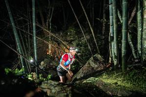 BIB: 
                            <button type="button" onclick="openModal(27958848)" class="btn btn-primary btn-sm float-right btn-popup" data-toggle="modal" data-target=".modal-high-quality">
                        <i class="fas fa-shopping-cart"></i> Add to Cart
                    </button>
                                            <button type="button" onclick="isThisMe(27958848, true)" class="btn btn-success btn-sm float-right btn-popup btn-isme hidden" data-toggle="tooltip" data-placement="bottom" title="นี่คือรูปของคุณใช่ไหม คลิกที่นี่เพื่อเอาเข้าอัลบั้ม">
                        <i class="fas fa-plus"></i> Add to album
                    </button>
                    <button type="button" onclick="isThisMe(27958848, false)" class="btn btn-warning btn-sm float-right btn-popup btn-isnotme hidden">
                        <i class="fas fa-ban"></i> Remove from album
                    </button>