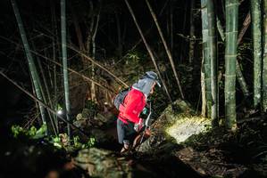 BIB: 
                            <button type="button" onclick="openModal(27959731)" class="btn btn-primary btn-sm float-right btn-popup" data-toggle="modal" data-target=".modal-high-quality">
                        <i class="fas fa-shopping-cart"></i> Add to Cart
                    </button>
                                            <button type="button" onclick="isThisMe(27959731, true)" class="btn btn-success btn-sm float-right btn-popup btn-isme hidden" data-toggle="tooltip" data-placement="bottom" title="นี่คือรูปของคุณใช่ไหม คลิกที่นี่เพื่อเอาเข้าอัลบั้ม">
                        <i class="fas fa-plus"></i> Add to album
                    </button>
                    <button type="button" onclick="isThisMe(27959731, false)" class="btn btn-warning btn-sm float-right btn-popup btn-isnotme hidden">
                        <i class="fas fa-ban"></i> Remove from album
                    </button>