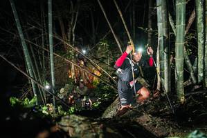 BIB: 
                            <button type="button" onclick="openModal(27958420)" class="btn btn-primary btn-sm float-right btn-popup" data-toggle="modal" data-target=".modal-high-quality">
                        <i class="fas fa-shopping-cart"></i> Add to Cart
                    </button>
                                            <button type="button" onclick="isThisMe(27958420, true)" class="btn btn-success btn-sm float-right btn-popup btn-isme hidden" data-toggle="tooltip" data-placement="bottom" title="นี่คือรูปของคุณใช่ไหม คลิกที่นี่เพื่อเอาเข้าอัลบั้ม">
                        <i class="fas fa-plus"></i> Add to album
                    </button>
                    <button type="button" onclick="isThisMe(27958420, false)" class="btn btn-warning btn-sm float-right btn-popup btn-isnotme hidden">
                        <i class="fas fa-ban"></i> Remove from album
                    </button>