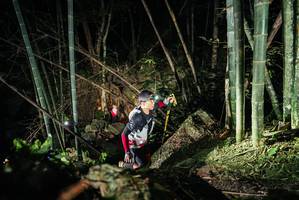 BIB: 
                            <button type="button" onclick="openModal(27957417)" class="btn btn-primary btn-sm float-right btn-popup" data-toggle="modal" data-target=".modal-high-quality">
                        <i class="fas fa-shopping-cart"></i> Add to Cart
                    </button>
                                            <button type="button" onclick="isThisMe(27957417, true)" class="btn btn-success btn-sm float-right btn-popup btn-isme hidden" data-toggle="tooltip" data-placement="bottom" title="นี่คือรูปของคุณใช่ไหม คลิกที่นี่เพื่อเอาเข้าอัลบั้ม">
                        <i class="fas fa-plus"></i> Add to album
                    </button>
                    <button type="button" onclick="isThisMe(27957417, false)" class="btn btn-warning btn-sm float-right btn-popup btn-isnotme hidden">
                        <i class="fas fa-ban"></i> Remove from album
                    </button>