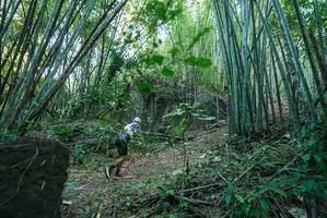 BIB: 
                            <button type="button" onclick="openModal(27956878)" class="btn btn-primary btn-sm float-right btn-popup" data-toggle="modal" data-target=".modal-high-quality">
                        <i class="fas fa-shopping-cart"></i> Add to Cart
                    </button>
                                            <button type="button" onclick="isThisMe(27956878, true)" class="btn btn-success btn-sm float-right btn-popup btn-isme hidden" data-toggle="tooltip" data-placement="bottom" title="นี่คือรูปของคุณใช่ไหม คลิกที่นี่เพื่อเอาเข้าอัลบั้ม">
                        <i class="fas fa-plus"></i> Add to album
                    </button>
                    <button type="button" onclick="isThisMe(27956878, false)" class="btn btn-warning btn-sm float-right btn-popup btn-isnotme hidden">
                        <i class="fas fa-ban"></i> Remove from album
                    </button>