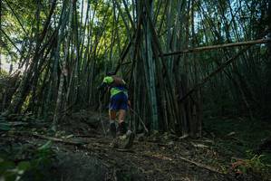 BIB: 
                            <button type="button" onclick="openModal(27956869)" class="btn btn-primary btn-sm float-right btn-popup" data-toggle="modal" data-target=".modal-high-quality">
                        <i class="fas fa-shopping-cart"></i> Add to Cart
                    </button>
                                            <button type="button" onclick="isThisMe(27956869, true)" class="btn btn-success btn-sm float-right btn-popup btn-isme hidden" data-toggle="tooltip" data-placement="bottom" title="นี่คือรูปของคุณใช่ไหม คลิกที่นี่เพื่อเอาเข้าอัลบั้ม">
                        <i class="fas fa-plus"></i> Add to album
                    </button>
                    <button type="button" onclick="isThisMe(27956869, false)" class="btn btn-warning btn-sm float-right btn-popup btn-isnotme hidden">
                        <i class="fas fa-ban"></i> Remove from album
                    </button>