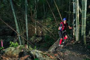 BIB: 
                            <button type="button" onclick="openModal(27956941)" class="btn btn-primary btn-sm float-right btn-popup" data-toggle="modal" data-target=".modal-high-quality">
                        <i class="fas fa-shopping-cart"></i> Add to Cart
                    </button>
                                            <button type="button" onclick="isThisMe(27956941, true)" class="btn btn-success btn-sm float-right btn-popup btn-isme hidden" data-toggle="tooltip" data-placement="bottom" title="นี่คือรูปของคุณใช่ไหม คลิกที่นี่เพื่อเอาเข้าอัลบั้ม">
                        <i class="fas fa-plus"></i> Add to album
                    </button>
                    <button type="button" onclick="isThisMe(27956941, false)" class="btn btn-warning btn-sm float-right btn-popup btn-isnotme hidden">
                        <i class="fas fa-ban"></i> Remove from album
                    </button>